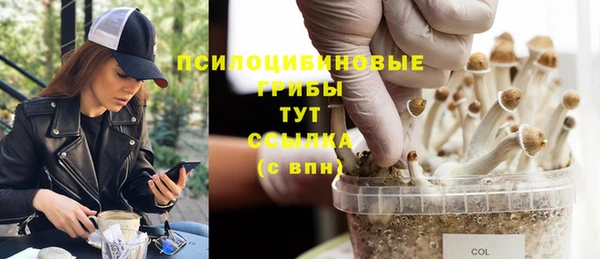 прущая мука Дмитриев