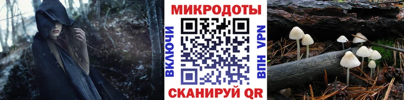 Галлюциногенные грибы Psilocybine cubensis  магазин    Домодедово 